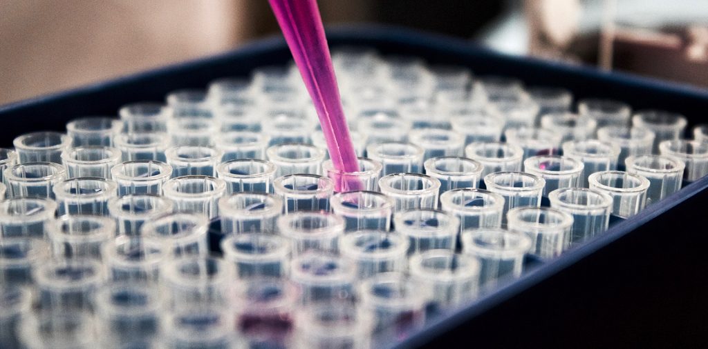 PREMUROSA project joins RESTORE in the research for Cartilage Regeneration