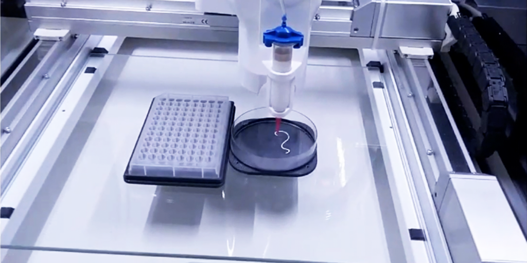 Printability tests of the nanocellulose/alginate bioink with Brinter® in progress