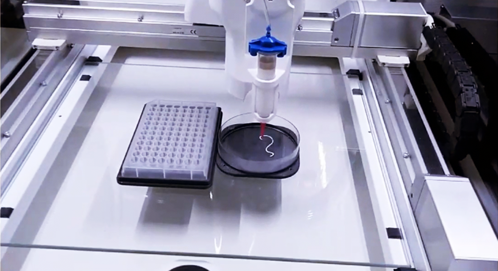 Bioprinting Tests