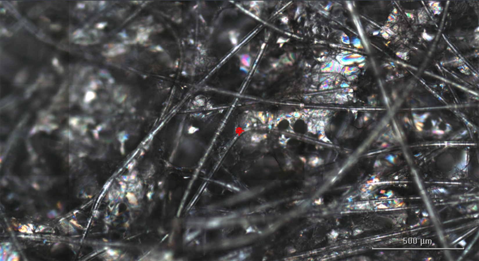 Nanoenabled COPLA® Scaffold (optical microscope image)