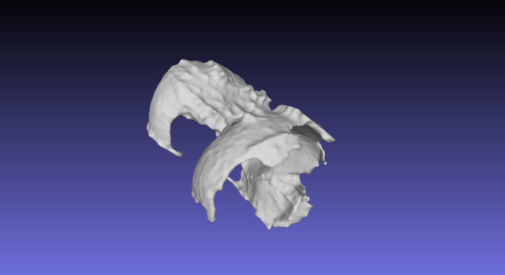 Articular Cartilage 3D model