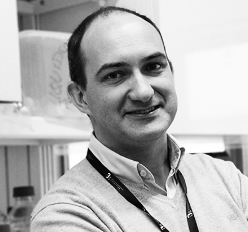 Bruno Sarmento nanomedicines i3s