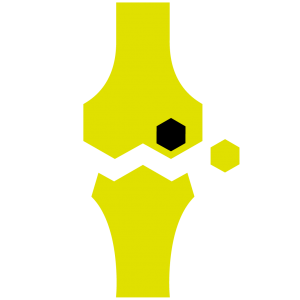 Reconstruction technique