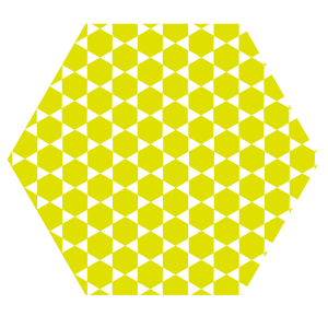 Regenerative techniques cartilage