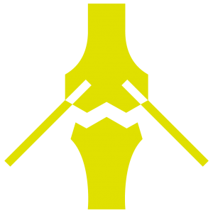 Repair techniques cartilage