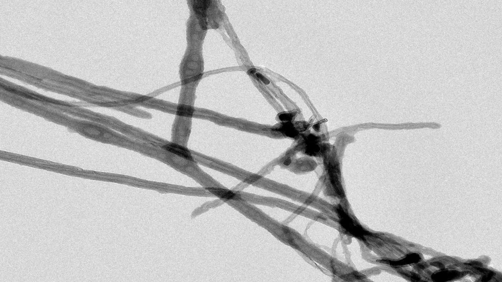 Carbon Nanotube Safety and Efficacy for Musculoskeletal Tissue Engineering Applications