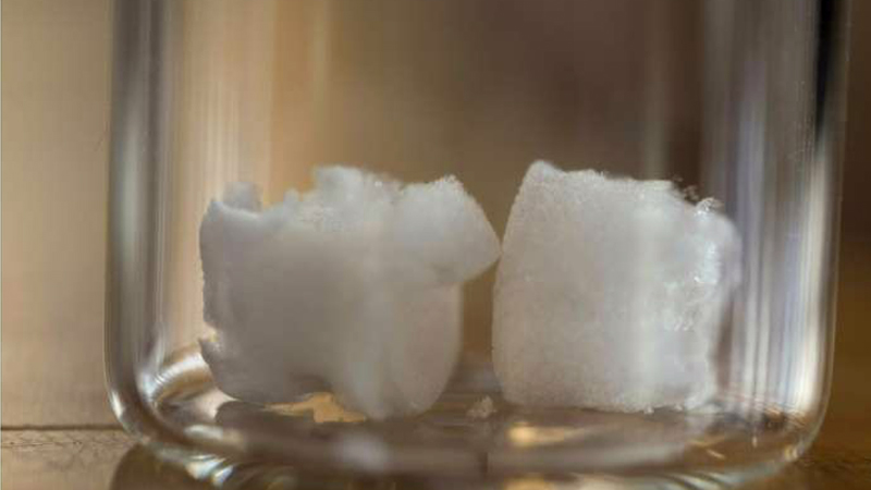 Nanocellulose as scaffold for bone tissue engineering