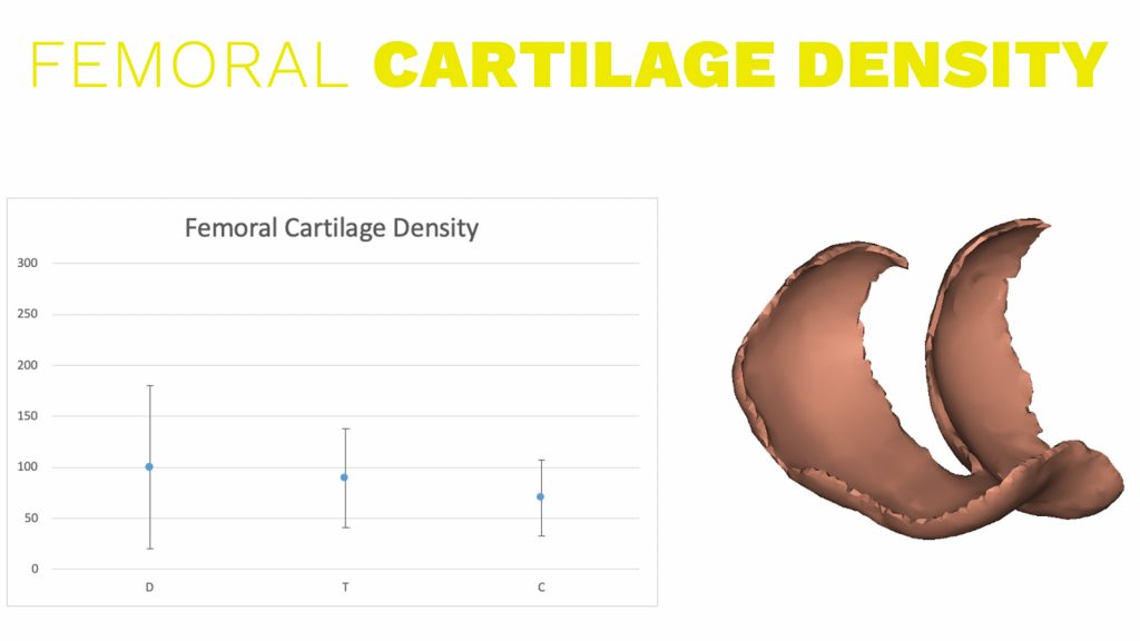 Cartilage density analysis.