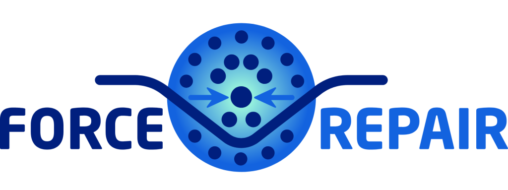 EU funded project FORCE REPAIR: Innovating Chronic Wound Treatment