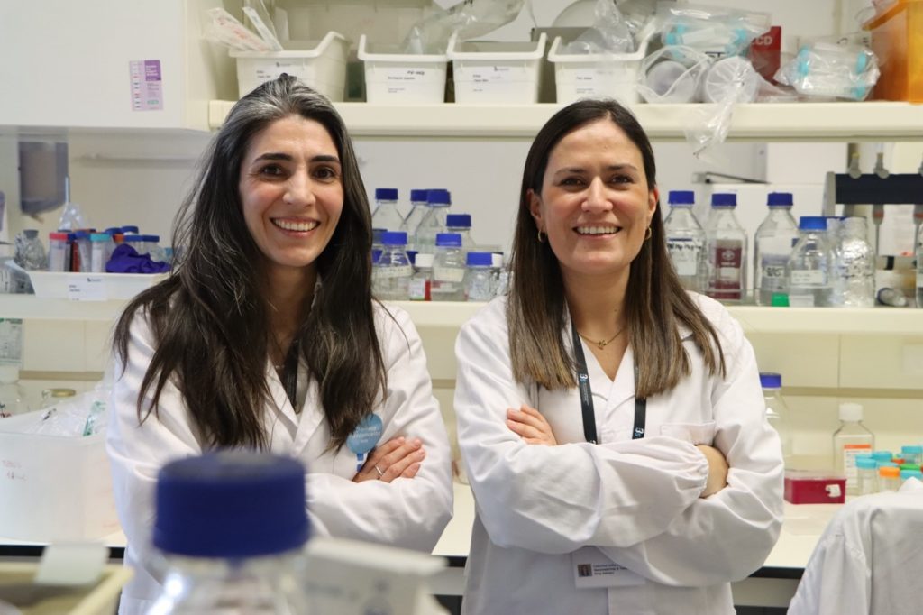 Nanoenabled Immunomodulatory Scaffolds for Cartilage Tissue Engineering